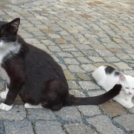 Aus-zeit Auf Dem Lande Apartmán
