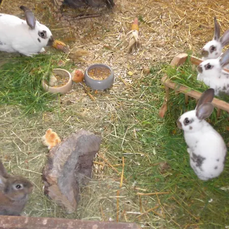 Aus-zeit Auf Dem Lande アパート *