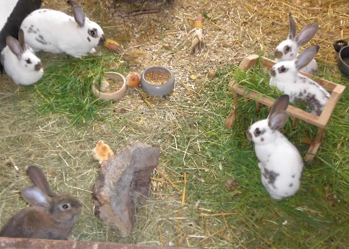 Aus-zeit Auf Dem Lande Daire *