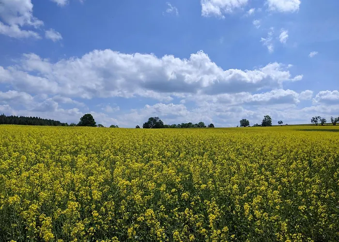 Aus-zeit Auf Dem Lande